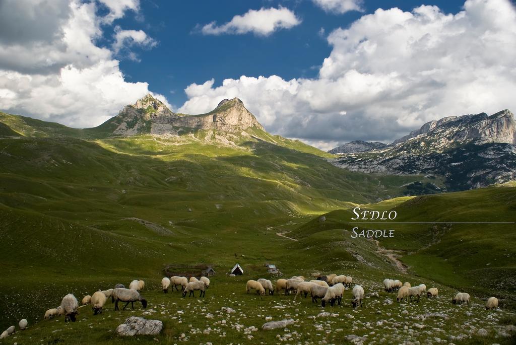 Appartamento Peaks
